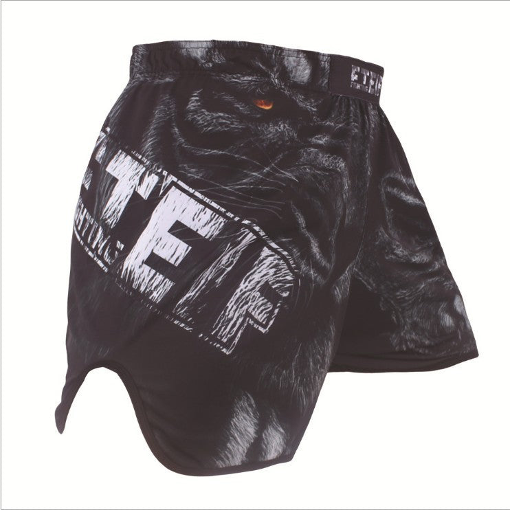 Pantaloncini da boxe MMA Sanda Fighting